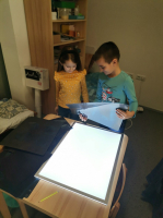 IMG 0135
