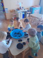 IMG 9733