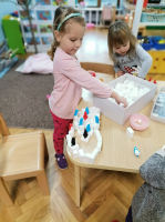 IMG 20210204 073352