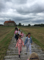 IMG 3913