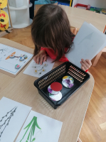IMG 20210309 093440