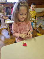 IMG 7435