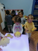 IMG 20200925 083157