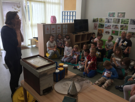 IMG 4555