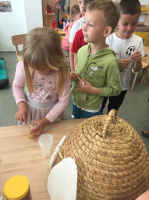 IMG 4579
