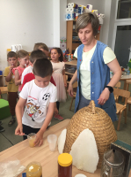 IMG 4581
