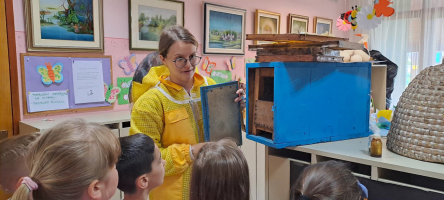IMG 7536
