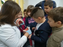 IMG 20181017 104433