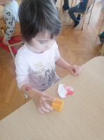 IMG 0646