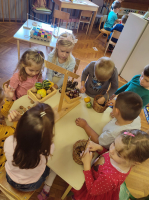 IMG 4579