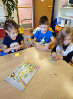 IMG 4591