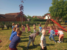 IMG 1126