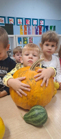 IMG 9194