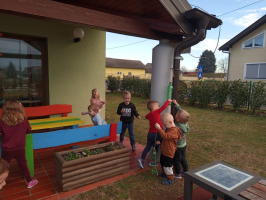 IMG 0018