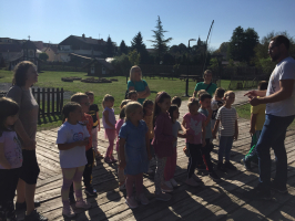 IMG 2329