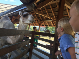 IMG 2357