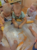 IMG 8469