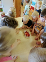 IMG 4766