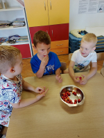 IMG 4781