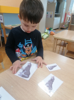 IMG 20210120 083057