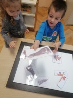 IMG 20210122 083149