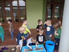 IMG 7193