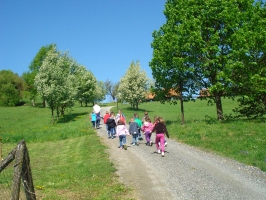 DSC06311