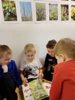 IMG 3842
