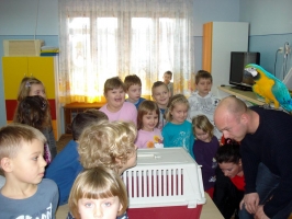 DSC05905