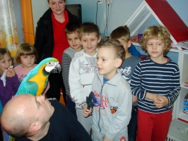 DSC05909