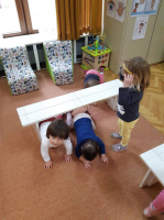 IMG 0799